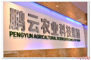 探訪鵬云農業科技集團生態園 雪鵬科技引領智慧農業新未來
